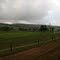 Cow Paddocks, Brookdale