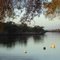 Murray River, Yunderup, WA