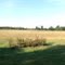 panoramic