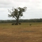 Near Old Bunbury Road, WA