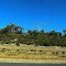 Forrest Hwy