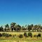 Forrest Hwy