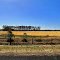 Forrest Hwy