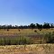 Forrest Hwy