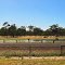 Forrest Hwy
