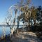 Mandurah-Harvey Estuary- Near Bouvard- December-2010