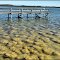 Lake Clifton Thrombolites