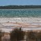 Lake Clifton and lone Black Swan..