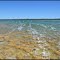Lake Clifton thrombolites