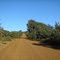 Road to Lookout