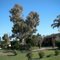 ISIS Motel - Scone, NSW, Australia