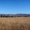 West side of the New England Highway