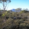 Bluff Knoll Early One Morning.