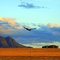 Wedge Tail Eagle
