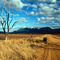 Stirling Ranges