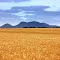 Stirling Range. Western Australia.