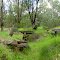 Old Whittakers sawmill