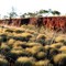 Karijini National Park : Dales Gorge Spinnifex
