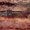 Old buses in Yampire Gorge ~ 1990.....near Wittenoom