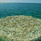 "Ayers rock" coral formation