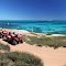 Coral Bay - Turtle Safari