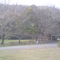 St Peters Pass