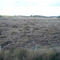 Boggy Ground