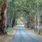 Middleton Road near the Warren State Forest