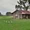 Muirillup Rd Homestead.