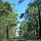 D'Entrecasteaux N P - Windy Harbour Road