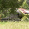 Home Lost