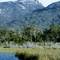 Mt Cameron