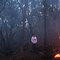 Fire in the Pyrenees Ranges (near Avoca)