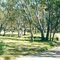 Mountain Cr picnic/camp ground, State Forest, Moonambel