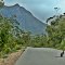 Stirling Ranges - Wallaby On The Road to Bluff Knoll