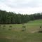 Stone Mountain Golf Club.
