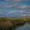 Big Warm Spring, Duckwater NV