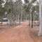the picnic area/carpark with Wandoo