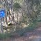 West Net Rail Maintenance Road