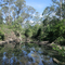 Lane Cove River at Browns Waterhole