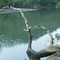 Quiet place
