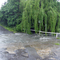 Wet day