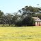 Yarawindah - Old Farm House