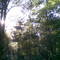 Neurum campground