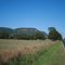 Neurum road