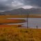 dam view by David Gibbs