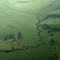 Painting the Morning: Creek in a pastel landscape