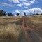 Perth hills