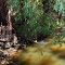 Chittering Valley - patak