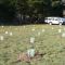 2006 spring planting
